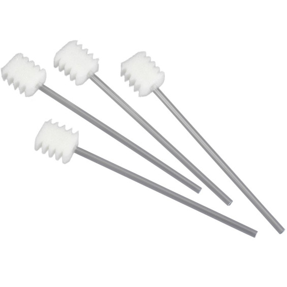 Bâtonnet soins de bouche mousse à dents manche plastique
