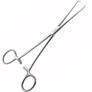 Pince de Pozzi Palmer 22 cm Pince de Pozzi Palmer 22 cm