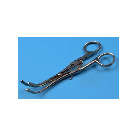 33 Écarteurs Branches Arbres Fruitiers - 13cm - Fil Galvanisé - Pour Pommiers, Cerisiers, Etc.