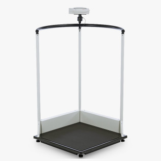 Pèse personne seca 645 classe III Médicale avec barre de maintien 