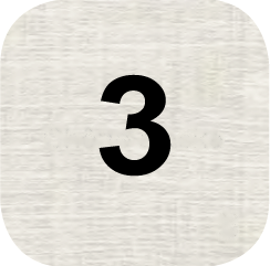 3 - Chêne alaska
